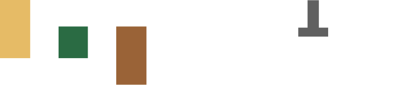 logo trentini store
